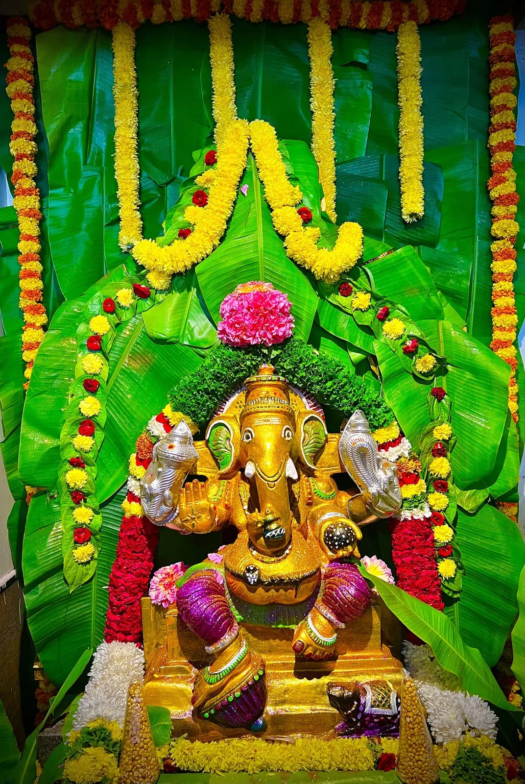 Vidya Ganapati Homa performed by a Gopuja Vedic pandit
