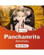 Panchamrithabhisheka Seva