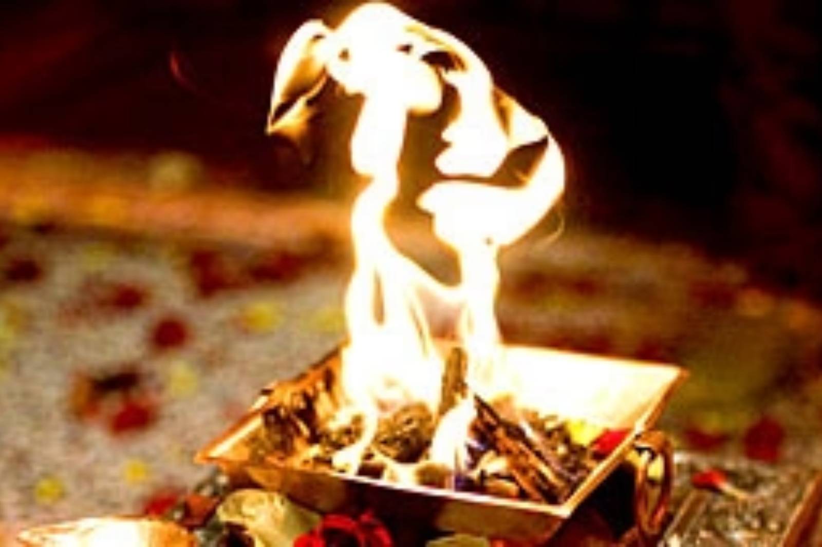 The Ancient Art of Homa: Understanding the Sacred Fire Ritual